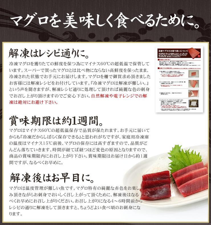 【定期便/計3回】本マグロ中トロ300g（計900g）【DG005-t3】|いわき市 ふるさと納税 株式会社東日本貿易 鮪 本鮪 本まぐろ マグロ トロ とろ 刺し身 さしみ さかな 海鮮 寿司 解凍