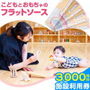 【ふるさと納税】施設利用券 3000円分 チケット ( 500円チケット × 6枚 ) こどもとおもちゃのフラットソース《30日以内に出荷予定(土日祝除く)》熊本県大津町 赤ちゃん こども おもちゃ パパ ママ グッドトイ チケット 施設利用券 保育士 おもちゃインストラクター