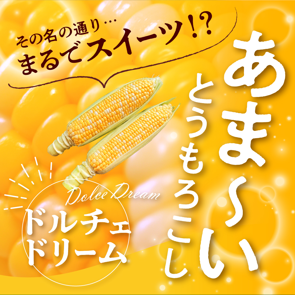 【2025年分先行予約】ドルチェドリーム(10本) 　とうもろこし 高評価 ★ 北海道産 なまら十勝野  キャンプ飯 BBQ ソロキャン人気 トウモロコシ 生 野菜 北海道 十勝 芽室町 送料無料 お