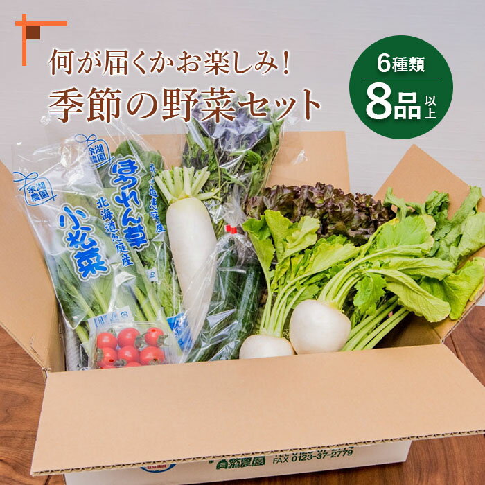 【ふるさと納税】季節の野菜おたのしみセット 北海道産 季節の野菜 セット 詰め合わせ 6種類 8品 お楽しみ 取り寄せ 余湖農園 新鮮 北海道 ふるさと納税 恵庭市 恵庭【31000501】