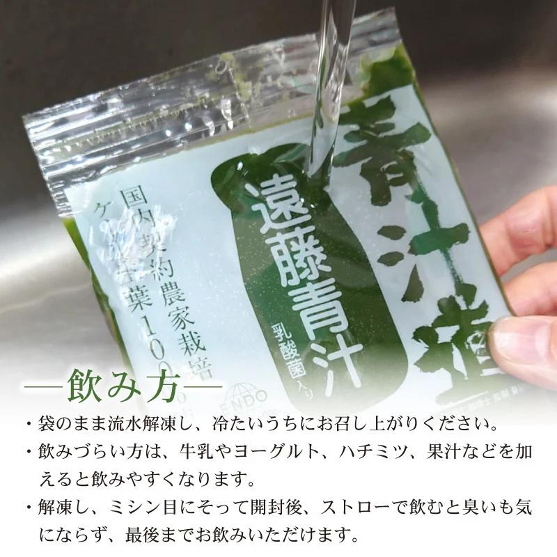 豆乳青汁 【生】 冷凍 2箱 5.6kg( 100g × 56袋 ) | 健康 美容 乳酸菌 国産 ケール 大豆 ビタミン ミネラル 食物繊維 冷凍 ロングセラー お試し青汁 遠藤青汁 新鮮 高知県 