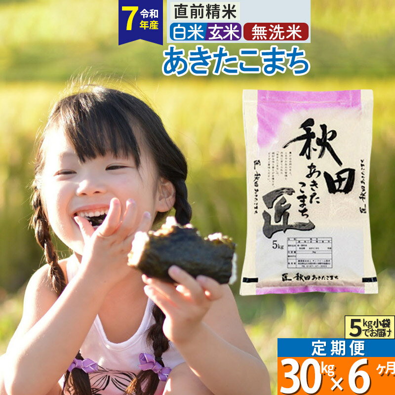 【ふるさと納税】【白米／玄米／無洗米】※R7※《定期便6ヶ月》秋田県産 あきたこまち 30kg (5kg×6袋)×6回 令和7年産 お米 匠