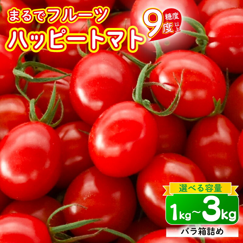 【ふるさと納税】先行受付 トマト 選べる 1 ~ 3kg 野菜 フルーツトマト 高糖度 甘い 新鮮 産地直送 ミニトマト サラダ 贈答用 ギフト プレゼント 栄養 健康 ビタミン リコピン 夏野菜 旬 サラダ パスタ スープ 農家 農園 自然 安芸市 高知県