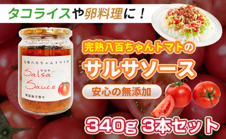 サルサソース八百ちゃんトマト 着色料保存料不使用 サルサソース【340g×3本】