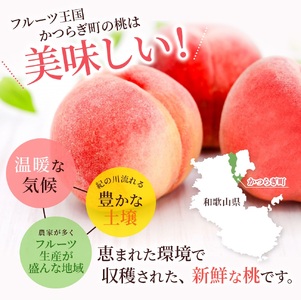 桃 白鳳   3個入り 秀品 ※2027年6月20日～7月30日発送予定 【BK017-kgr010】