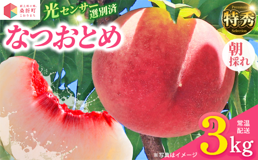 
                  もも【なつおとめ・2026年産】特秀　3kg　桑折町産　JAふくしま未来　桃 ／ もも モモ 果物 フルーツ 旬 甘い 甘み ジューシー 果肉 果汁 新鮮 フレッシュ デザート おいしい 産地直送 桑折 こおり こおりまち 福島県 特産品 献上桃の郷 【07301-0170】
                