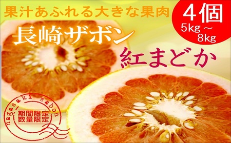 『期間限定』柑橘の王様！「長崎ザボン」果汁あふれる大きな果肉の紅まどか(4個入り) ( 紅まどか ザボン ざぼん 大橘 文旦 ぶんたん ブンタン ボンタン 柑橘 果物 )【B4-048】