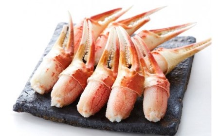 高評価 本ズワイガニ 豪華3種セット 【棒肉 二本爪 フレーク】 食べ比べ おせち 冷凍 ｽﾞﾜｲｶﾞﾆｽﾞﾜｲｶﾞﾆｽﾞﾜｲｶﾞﾆ