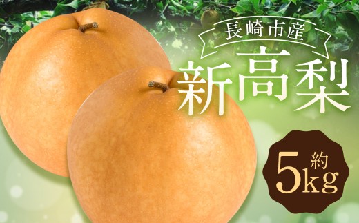 新高梨 5kg 【2026年9月上旬～10月上旬迄発送予定】 なし 和梨 果物 果実 フルーツ 国産 九州 長崎県 長崎市 常温 オンライン決済限定