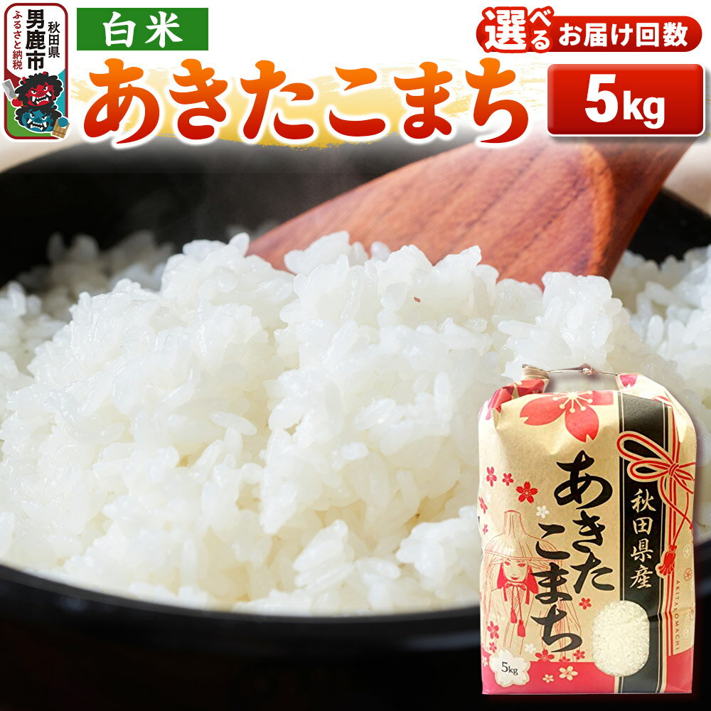 【ふるさと納税】《令和7年産》【白米】秋田県産 あきたこまち 5kg 秋田県 男鹿市 こまちライン【選べるお届け回数】 [こまちライン あきたこまち ブランド米 お米 白米 精米 米どころ 秋田 秋田県産]