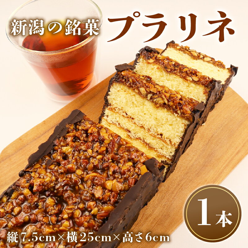 【ふるさと納税】 プラリネ 1本 チョコプラリネ チョコレート チョコケーキ アーモンド ケーキ デザート キャラメリゼ 新潟 父の日 贈答 熨斗 お茶請け お茶菓子 お土産 洋菓子 特産品 名物 銘菓 お取り寄せ 母の日 父の日 やまの辺 新潟県 新発田市 yamanobe010_01