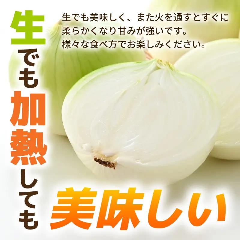 【先行予約】採れたて 新玉ねぎ 5kg（サイズ S M L ミックス）田んぼで育てた甘くて柔らか自慢の玉ねぎ！／ 常備 野菜 玉葱 たまねぎ 新鮮 ※2027年6月上旬以降順次発送予定  [aw056