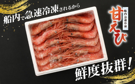 新鮮美味！ 甘エビ(船凍甘エビ 大サイズ)約1kg おいしいたまり醤油付【えび エビ 海老 甘えび 海鮮 お造り 刺身 おせち 海鮮丼 生食 急速冷凍 福井】[m21-b008]