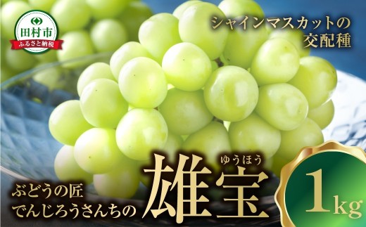 【先行予約 2026年発送】  ＼雄宝 -ゆうほう- 約1kg ／  冷蔵 高級 種無し 種なし シャインマスカット ブドウ ぶどう 品種 果物 甘い 巨峰 美味しい 希少 福島県 田村市 鈴木農園 でんじろうさん