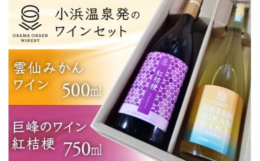 ワインセット 雲仙みかんワイン&紅桔梗 2本 セット [小浜温泉ワイナリー 長崎県 雲仙市 item1757] ワイン 赤 赤ワイン 国産 日本 ぶどう ブドウ 巨峰 みかん 蜜柑 お酒 酒 果実