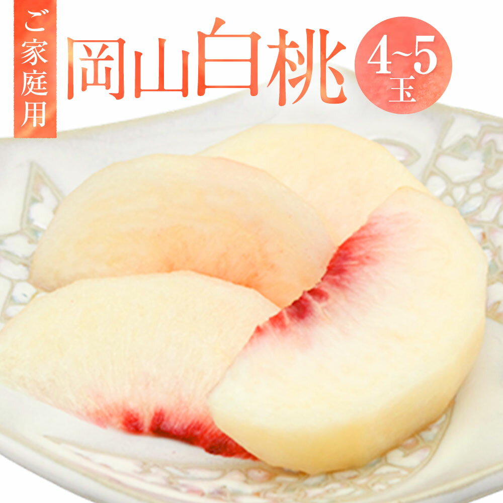 【ふるさと納税】【ご家庭用】岡山白桃 4～5玉 約1.2kg 白桃 桃 もも モモ 果物 くだもの フルーツ おやつ デザート 冷蔵 岡山県産 岡山県 美咲町 送料無料【2025年6月下旬～7月下旬発送予定】