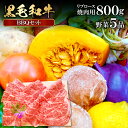 【ふるさと納税】 松永和牛 800g 焼肉用 野菜 5品 焼肉 リブロース 農家厳選 やさい おまかせ お楽しみ 贅沢 詰め合わせ セット バーベキュー アウトドア キャンプ ギフト 贈り物 特産品 お取り寄せ グルメ