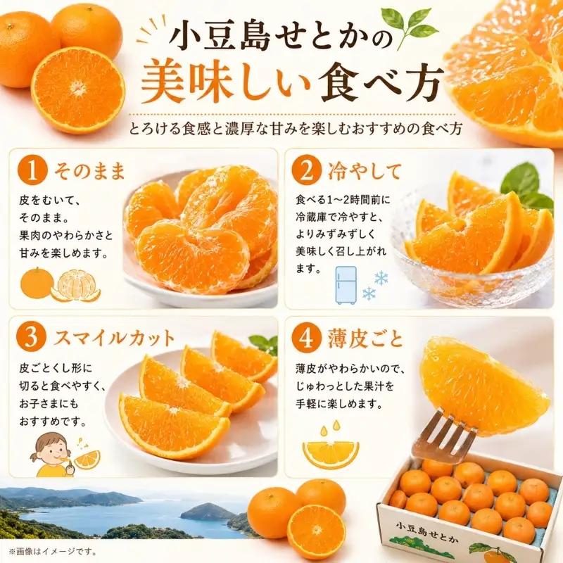 せとか 柑橘 フルーツ 小豆島産 せとか【約5kg】
