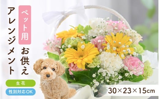 ペット用御供アレンジメント 1点 性別対応可能 【お花 フラワー アレジメント 花束 生花 花 洋花 ペット 愛犬 愛猫】 [A-20706]