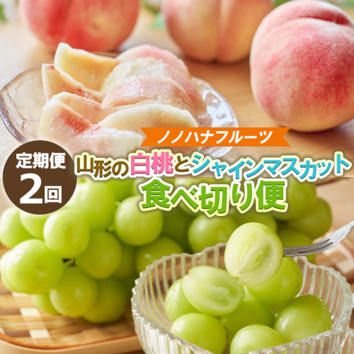 【定期便2回】桃とシャインマスカット 山形直送【令和8年産先行予約】FS25-073