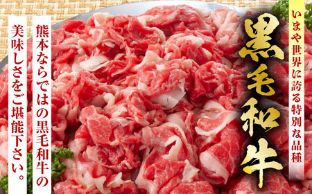 【3回定期便】熊本県産 黒毛和牛 切り落とし 計約1kg (約250g×4P)【有限会社九州食肉産業】黒毛和牛 九州産 熊本県産 切り落とし 小分け  牛肉切り落とし 切り落とし定期 切り落とし定期便