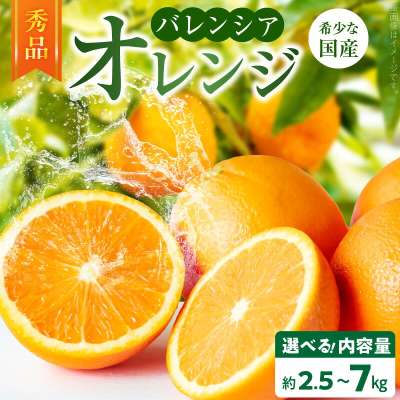 希少な 国産 バレンシアオレンジ 5kg 秀品【国産オレンジ オレンジ 柑橘 フルーツ 和歌山 有田】