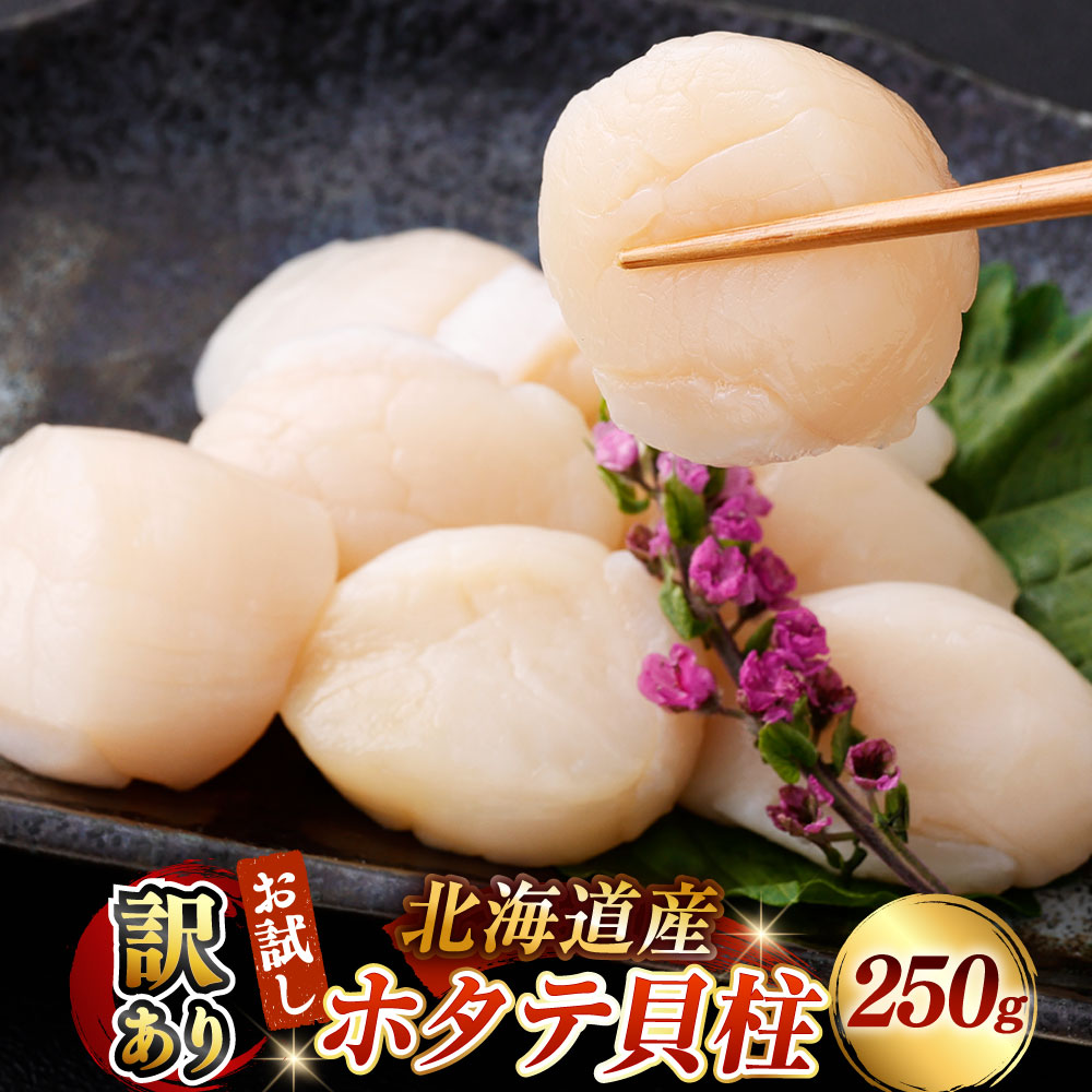 【ふるさと納税】【訳あり】北海道産 ホタテ貝柱 250g 【14営業日以内に発送予定】ほたて ホタテ 帆立 ホタテ貝 貝柱 魚貝類 水産物 刺身 バター焼き カルパッチョ フライ 鍋料理 カレー 冷凍 北海道 釧路市 送料無料