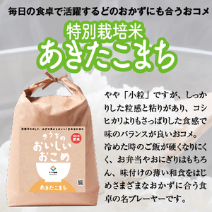 【令和6年産】稲敷市産 特別栽培米 あきたこまち 10kg (5kg×2)【農家直送】[1617]