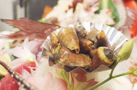 チャンバラ貝 5kg 貝