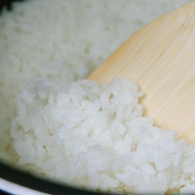 ふるさと納税 紀宝町 紀生(きりゅう) (コシヒカリ) 5kg【9月末から6月までの期間で順次発送】【rnm001C】 |  | 01