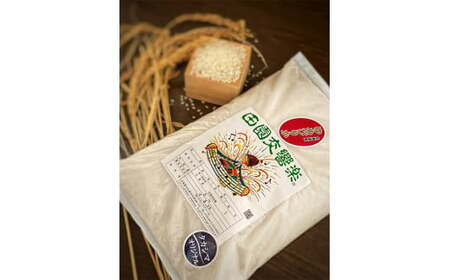 北海道北広島産 ブラックアンガス牛 宮北牧場カレー400g（200g×2箱）タカシマファームのお米 3kg ビーフカレー 精米 米 白米