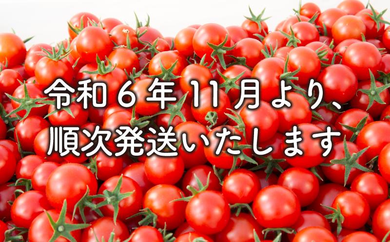 予約受付 トマト 3パック トマトジュース 1本