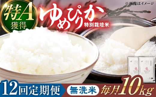 【令和8年産】【新米】【12回定期便】農家直送！特別栽培米ゆめぴりか【無洗米】10kg 特A 北海道 米 お米 こめ JGAP認証農場 | 株式会社きしもとファーム [BOBB045]
