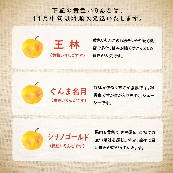 《2026年9月下旬以降順次発送》羽山りんご 品種おまかせ(早生・中早生)  3kg【羽山果樹組合】