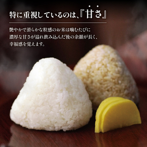 令和7年産 米 夢ごこち 5kg お米