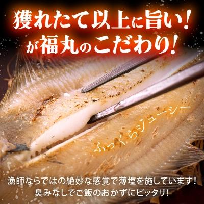 ふるさと納税 越前町 【越前海岸・美味直送シリーズ】　訳あり　越前町産 カレイ一夜干し 2kg |  | 02