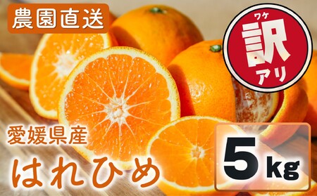 訳あり はれひめ 約5kg (40-50個程度) 【2026年12月頃発送】【MCF0211】