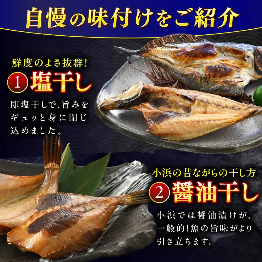 『定期便』 全4回(3ヶ月毎発送)【加福鮮魚】 季節の旬の魚をお届け！"生"干物厳選詰め合わせ 一夜干し 醤油干し 味噌漬け 塩干し  小浜市 / 加福鮮魚 【配送不可地域：北海道・沖縄・離島】 [B