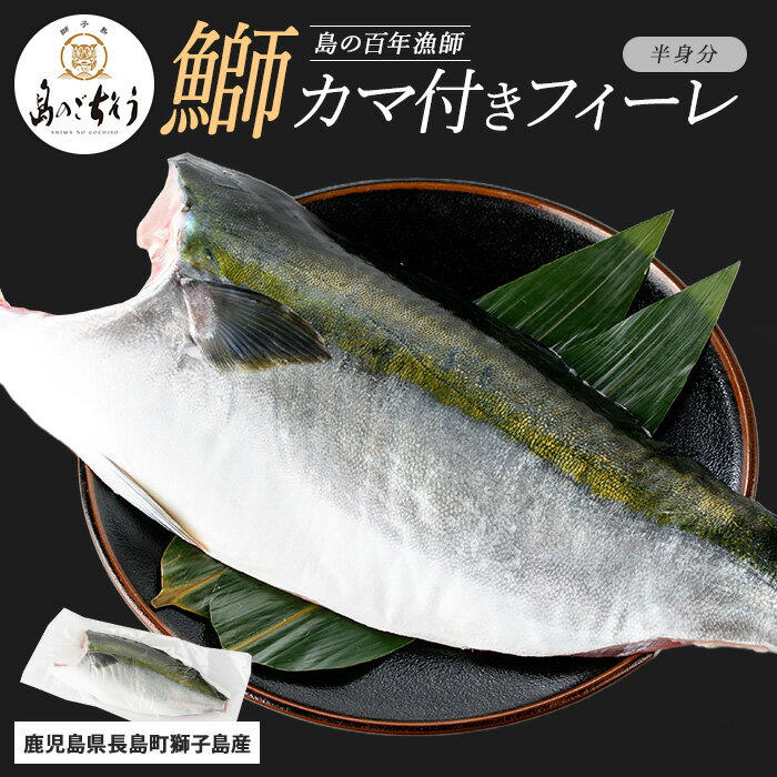 【ふるさと納税】【先行予約】＜百年漁師＞獅子島産 百年漁師の鰤 カマ付きフィーレ1パック (半身分) 【島のごちそう】gochi-1314