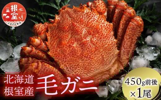 【北海道根室産】毛がに450g前後×1尾