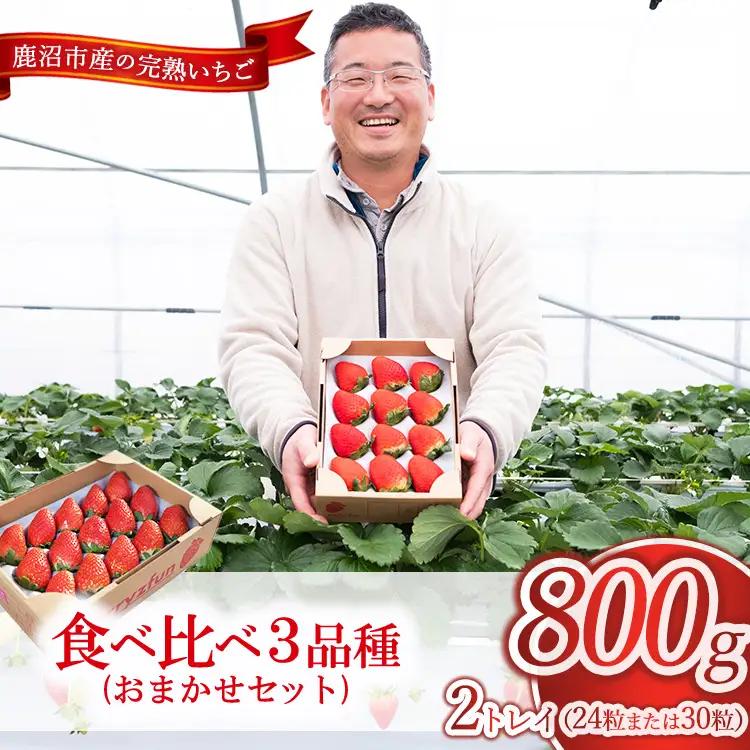 いちご食べ比べ3品種 おまかせセット 2トレイ800g ※2026年12月～発送