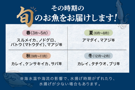 【定期便】浜田の旨い鮮魚3回お届けコース 海鮮 セット 海鮮 【006_2042】