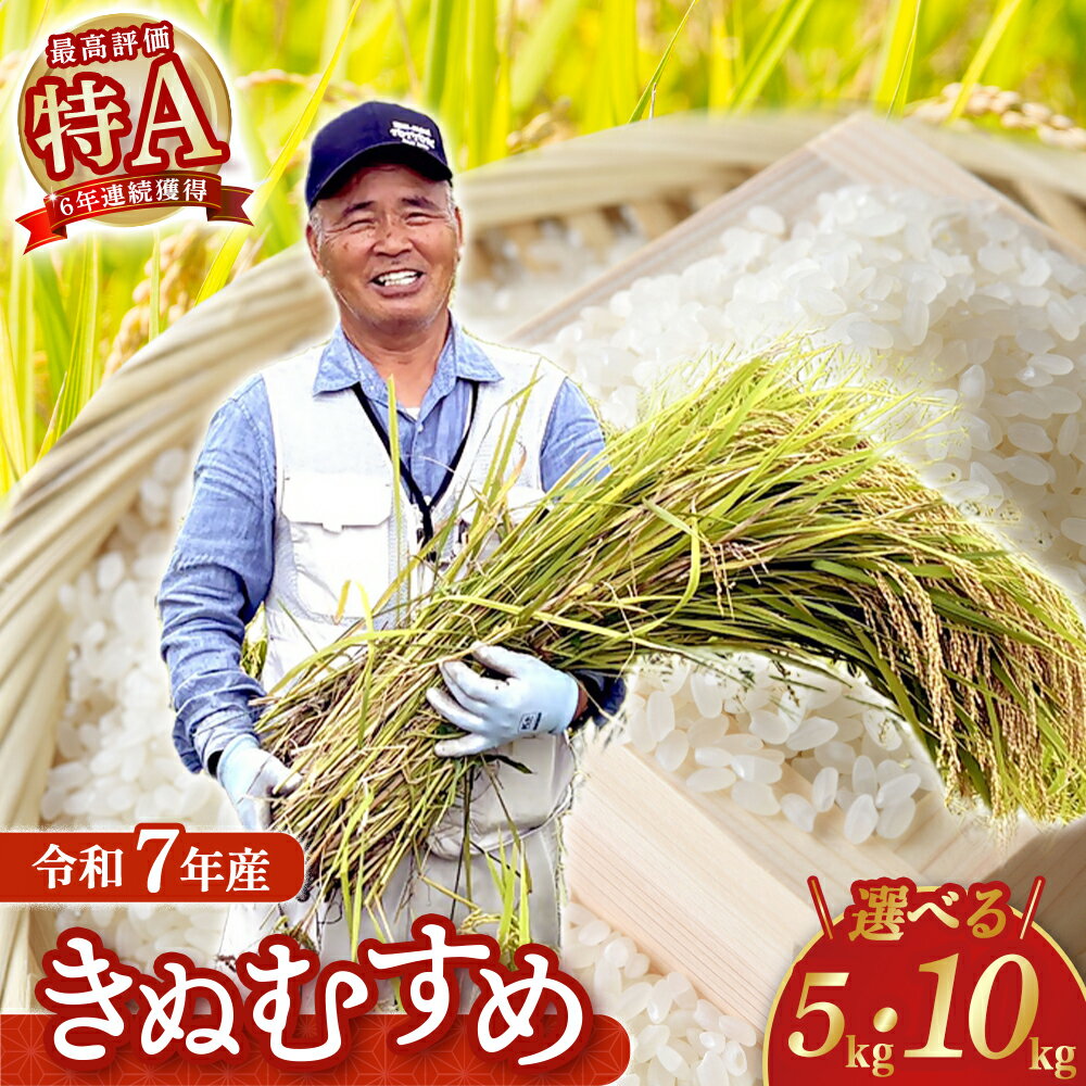 【ふるさと納税】【在庫限定】令和7年産米 きぬむすめ 5kg・10kg （大上農園）数量限定 お米 米 こめ コメ 白米 きぬむすめ ブランド米 鳥取県 倉吉市