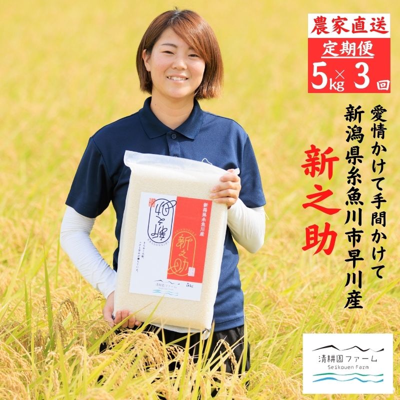 【ふるさと納税】 令和7年産 『新之助』【3ヶ月定期便】 5kg ×3回 毎月お届け (計15kg) 農家直送 真空パック 新潟県産 新潟 糸魚川 清耕園ファーム 美味しい 農家自慢 お米 白米 おにぎり お弁当 大粒 ツヤ 甘み 深い味わい 粘り 弾力 米