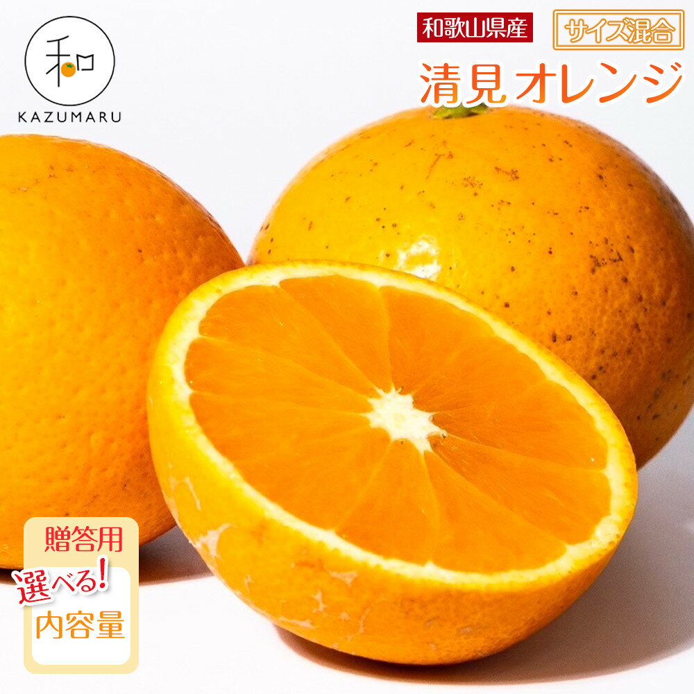 【ふるさと納税】【選べる容量】 贈答用 森本農園の手選別 厳選清見オレンジ 約2～10kg 和歌山県産 サイズ混合 ［北海道・沖縄・離島配送不可］［2026年2月上旬から5月中旬頃順次発送予定］ | フルーツ 果物 くだもの 食品 人気 おすすめ 送料無料