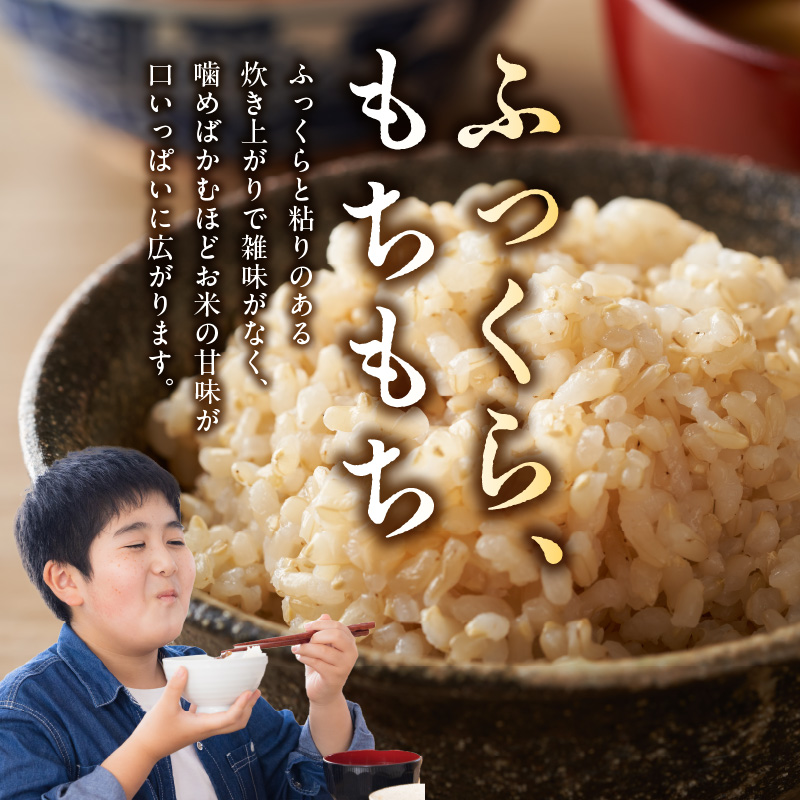 S061-T08_【6ヶ月定期便】特別栽培米 天草五ッ星米 玄米 5kg