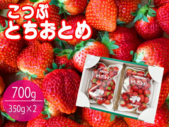 【ふるさと納税】【数量限定】小粒でかわいいとちおとめ 2パック入り1箱 苺いちごイチゴ果物フルーツ（KBP-3）