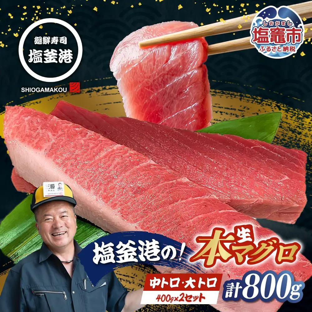 【まぐろ】大トロ 中トロ マグロ 800g 柵