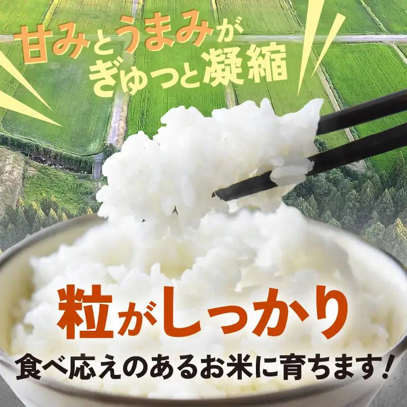 【先行予約】【令和8年産 新米】定期便 ≪3ヶ月連続お届け≫ 自然栽培米コシヒカリ 無洗米5kg×3回（計15kg） 伊与衛門農園の特別栽培米＜温度と湿度を常時管理し新鮮米を出荷！＞/ 米 白米 自然
