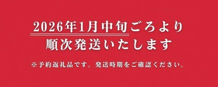 【数量限定】高級 京いちご 内容量 約2,000g（250g 8パック）【紅ほっぺ おいCベリー スターナイトから厳選してお届け】訳あり 完熟 朝採れ ※離島への配送不可 ※2025年2月上旬～5月下